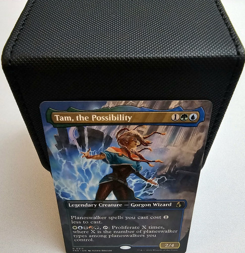 Tam the possibility mtg - tam,,